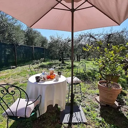 Il Cantuccio 1 Pescaglia